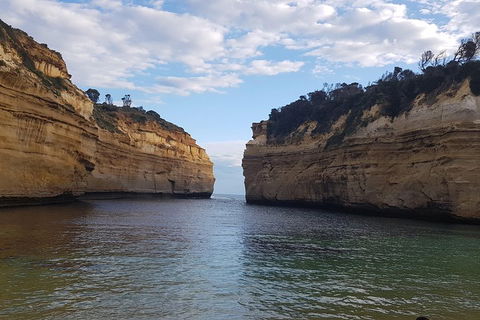 Luxury Private Great Ocean Road Tour Up To 11 People - Entire Vehicle - Accommodation 4U 2