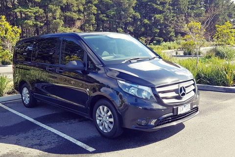 Luxury Private Great Ocean Road Tour Up To 11 People - Entire Vehicle - Accommodation 4U 3