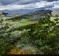 3-Day Tour to the Falls Mountains Lake  More of West Coast Tasmania - Accommodation 4U