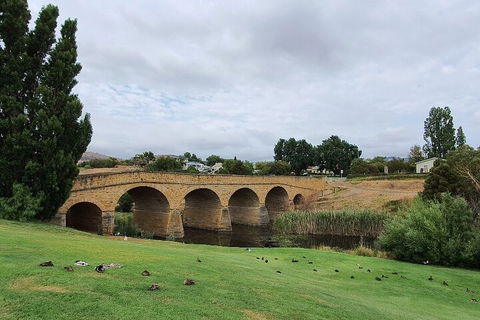 Port Arthur, Richmond And Tasman Peninsula Day Trip From Hobart - Accommodation 4U 3