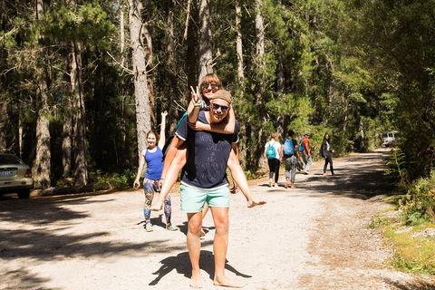 7-Day Best Of Tasmania Adventure Experience From Hobart (flexible Ticket) - Accommodation 4U 5