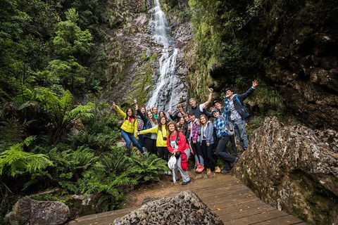 5-Day Lap Of Tasmania Tour From Hobart (flexible Ticket) - Accommodation 4U 0