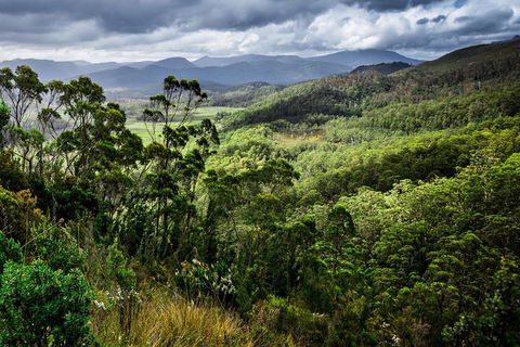 5-Day Lap Of Tasmania Tour From Hobart (flexible Ticket) - Accommodation 4U 2