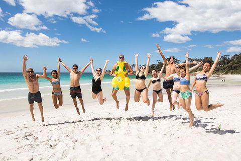 5-Day Lap Of Tasmania Tour From Hobart (flexible Ticket) - Accommodation 4U 4