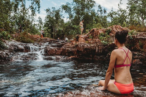 Litchfield National Park Day Tour From Darwin With Waterfalls And Buley Rockhole - Accommodation 4U 0