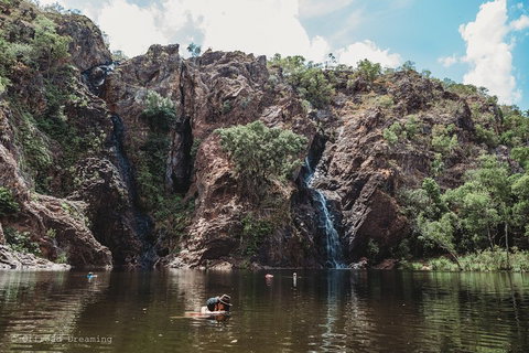 Litchfield National Park Day Tour From Darwin With Waterfalls And Buley Rockhole - Accommodation 4U 1