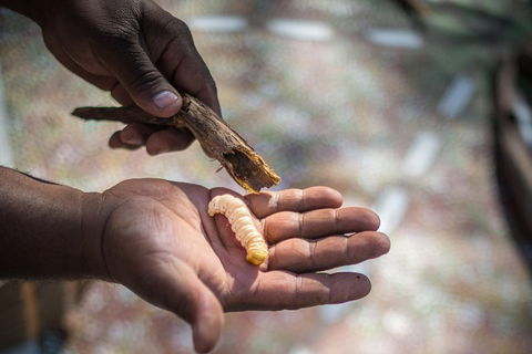 Karrke Aboriginal Cultural Experience - Accommodation 4U 3