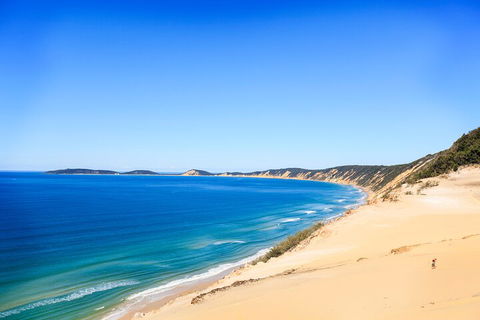Kayak With Dolphins And 4WD Great Beach Drive Day Trip From Noosa - Accommodation 4U 0