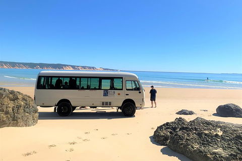 Kayak With Dolphins And 4WD Great Beach Drive Day Trip From Noosa - Accommodation 4U 4
