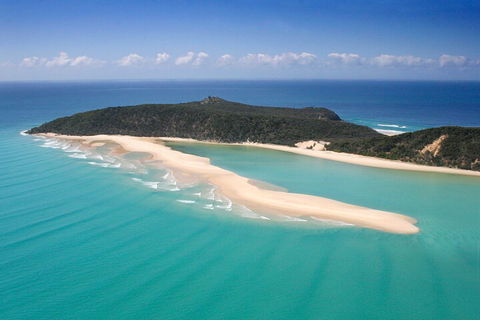 Kayak With Dolphins And 4WD Great Beach Drive Day Trip From Noosa - Accommodation 4U 5
