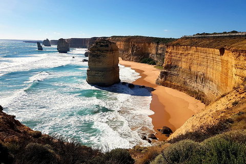 Helicopter Flight + Fine Dining Private Luxury Great Ocean Road Tour - Accommodation 4U 4