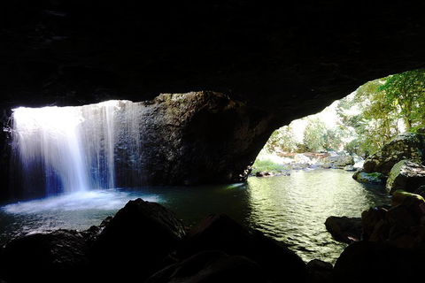Rainforest & Waterfalls Extravaganza - Accommodation 4U 0