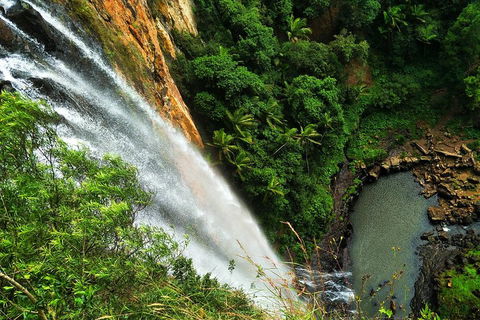 Rainforest & Waterfalls Extravaganza - Accommodation 4U 1