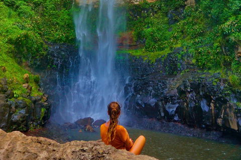 Rainforest & Waterfalls Extravaganza - Accommodation 4U 2