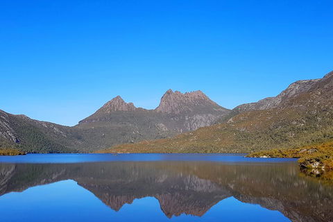 Tasmania 6 Day 'Tour In Circle' - Accommodation 4U 3