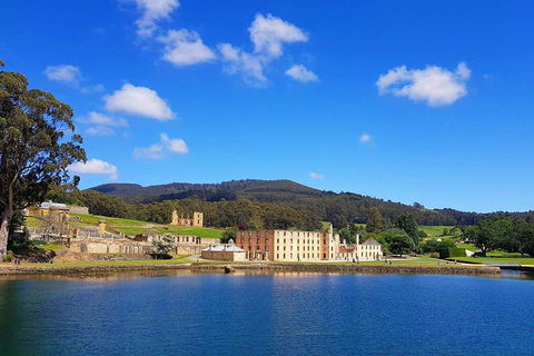 Tasmania 4 Day East Coast + Launceston - Accommodation 4U 0