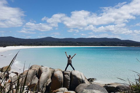 Tasmania 4 Day East Coast + Launceston - Accommodation 4U 1
