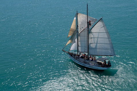 Whitehaven Beach Sailing And Snorkeling Cruise - Accommodation 4U 1