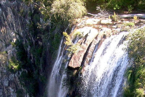 Byron Bay Combo: Hinterland Tour Including Minyon Falls And Kayaking With Dolphins - Accommodation 4U 3