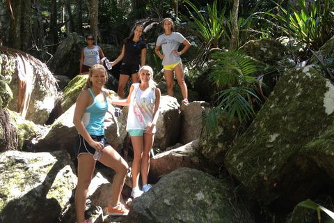 Byron Bay Combo: Hinterland Tour Including Minyon Falls And Kayaking With Dolphins - Accommodation 4U 4