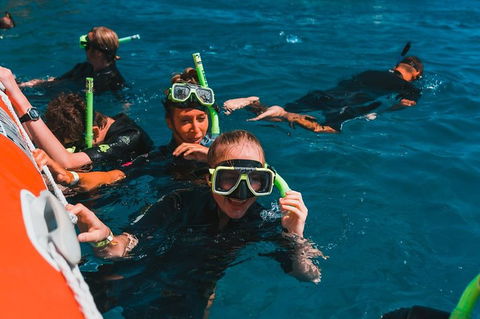 Whitehaven Beach And Hill Inlet Lookout Full-Day Snorkeling Cruise By High-Speed Catamaran - Accommodation 4U 3