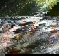 Daintree Rainforest Cape Tribulation Mossman Gorge Small-Group Day Tour - Accommodation 4U