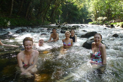 Daintree Rainforest, Cape Tribulation, Mossman Gorge Small-Group Day Tour - Accommodation 4U 0
