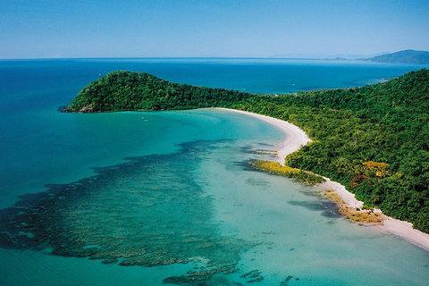 Daintree Rainforest, Cape Tribulation, Mossman Gorge Small-Group Day Tour - Accommodation 4U 4