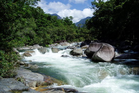 Daintree Rainforest, Cape Tribulation, Mossman Gorge Small-Group Day Tour - Accommodation 4U 5