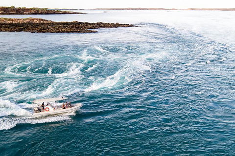 Giant Tides Tour - Cygnet Bay Pearl Farm - Accommodation 4U 4