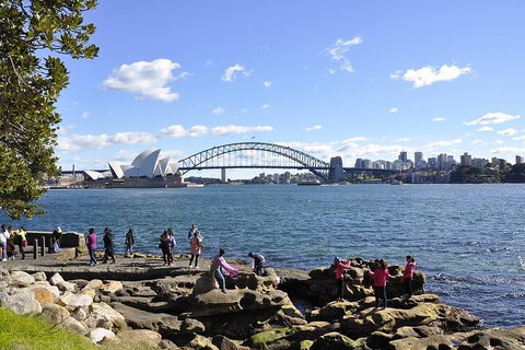 Sydney Sightseeing Bus Tours - Accommodation 4U 2