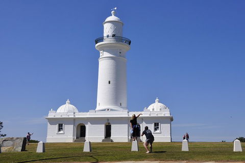 Sydney Sightseeing Bus Tours - Accommodation 4U 5