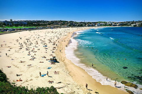 Sydney & Bondi Beach Plus Local Secrets With 'Personalised Sydney Tours' - Accommodation 4U 5