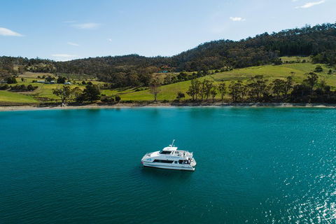 Deep-to-Dish: Tasmanian Seafood Experience - Accommodation 4U 0