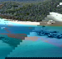 All Inclusive Tangalooma Wrecks Cruise Tour From Gold Coast - Accommodation 4U