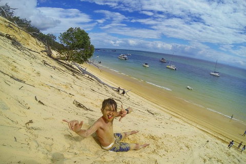 All Inclusive Tangalooma Wrecks Cruise Tour From Gold Coast - Accommodation 4U 5