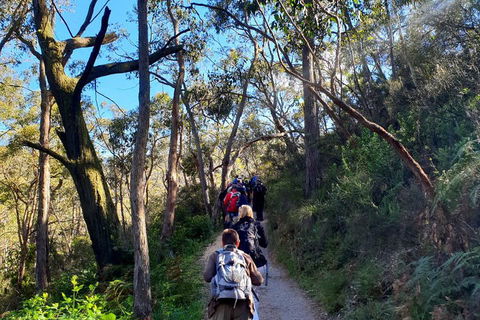 Self-Guided Waterfall Gully To Mount Lofty Hike From Adelaide - Accommodation 4U 1