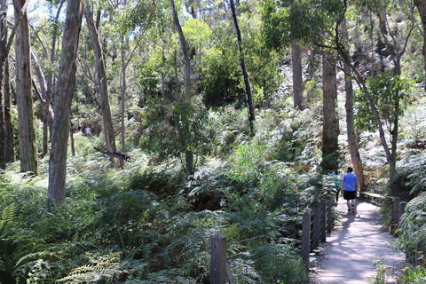 Self-Guided Waterfall Gully To Mount Lofty Hike From Adelaide - Accommodation 4U 2