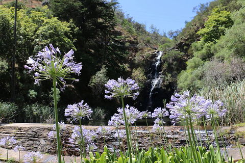Self-Guided Waterfall Gully To Mount Lofty Hike From Adelaide - Accommodation 4U 3