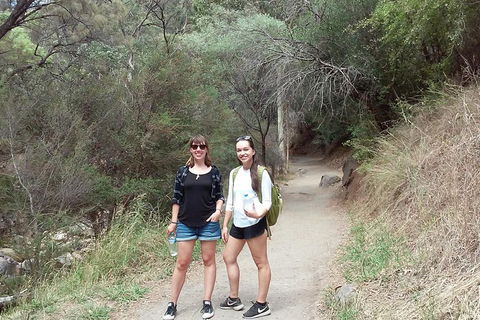 Self-Guided Waterfall Gully To Mount Lofty Hike From Adelaide - Accommodation 4U 4