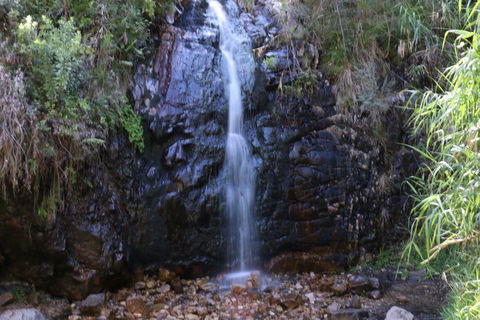 Self-Guided Waterfall Gully To Mount Lofty Hike From Adelaide - Accommodation 4U 5