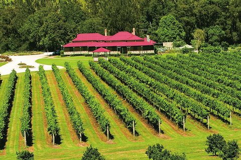 O'Reilly's & Lamington National Park From Gold Coast - Accommodation 4U 2