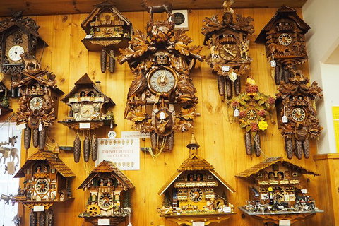 O'Reilly's & Lamington National Park From Gold Coast - Accommodation 4U 5