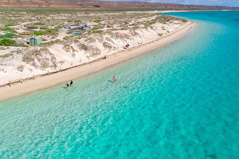 Ningaloo In A Day - Full Day Hike And Snorkel Tour With Lunch - Accommodation 4U 0