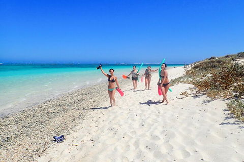 Ningaloo In A Day - Full Day Hike And Snorkel Tour With Lunch - Accommodation 4U 1