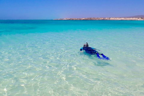 Ningaloo In A Day - Full Day Hike And Snorkel Tour With Lunch - Accommodation 4U 4