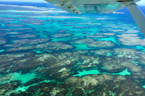 Shipwreck Special Full Day Tour Of The Abrolhos Islands - Accommodation 4U 1