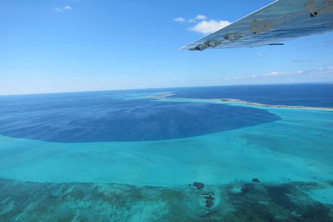 Shipwreck Special Full Day Tour Of The Abrolhos Islands - Accommodation 4U 2