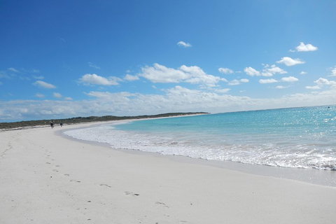 Shipwreck Special Nature Tour/Half Day Tour - Accommodation 4U 0