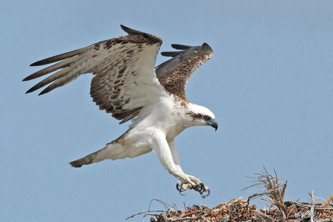 Shipwreck Special Nature Tour/Half Day Tour - Accommodation 4U 4